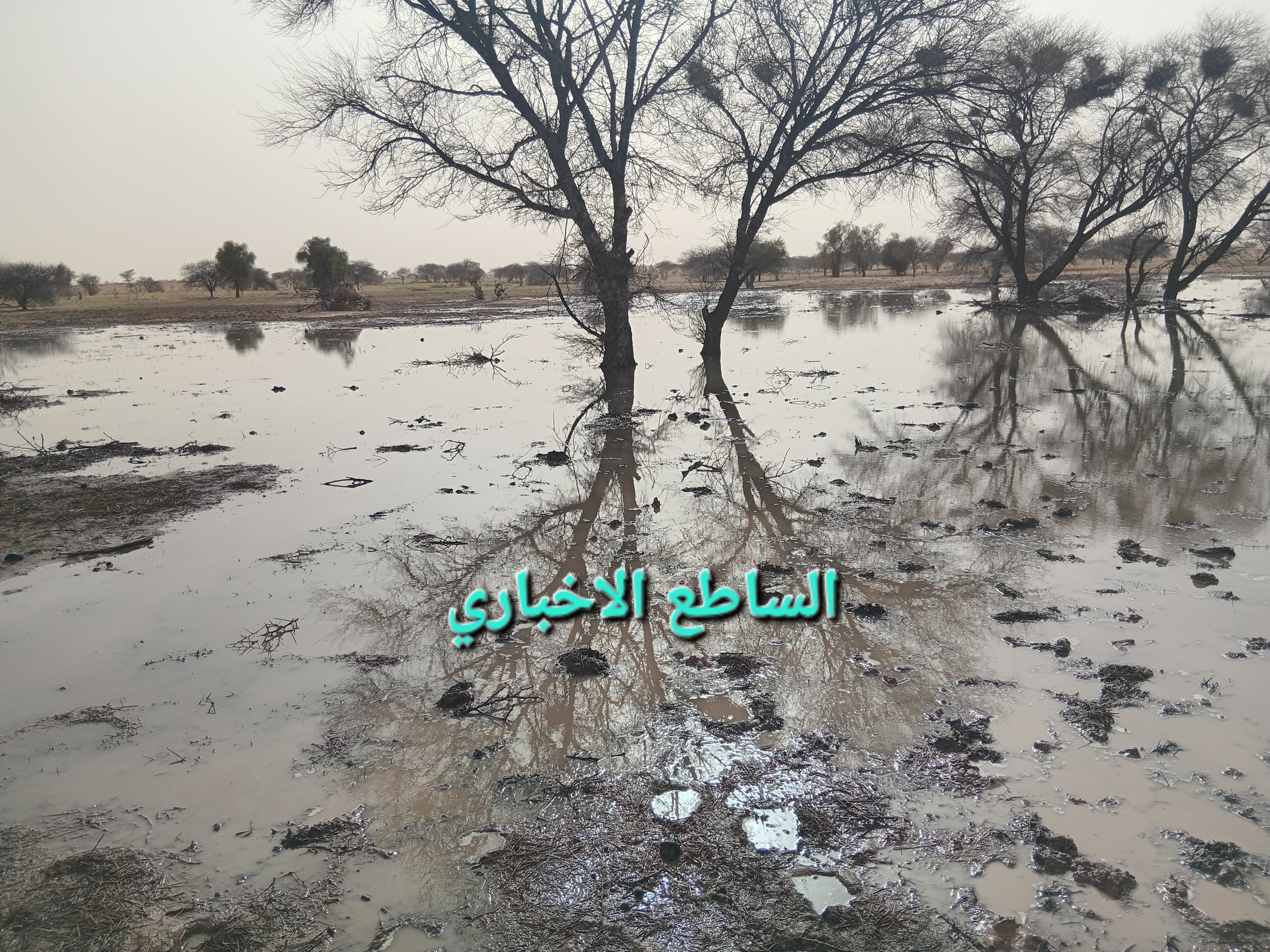 أمطار غزيرة على مقاطعة كيفه فجر اليوم والليلة البارحة (مقاييس)