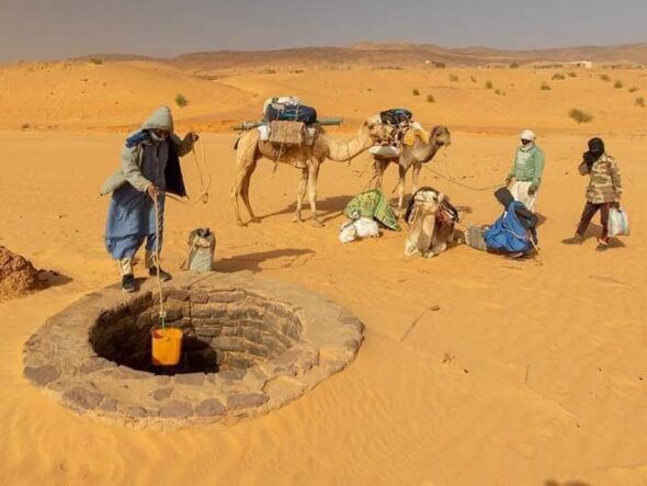 الرفكة في موريتانيا.. حين كانت القوافل تحمل حاجيات الحي فوق ظهور الجمال (تقرير )