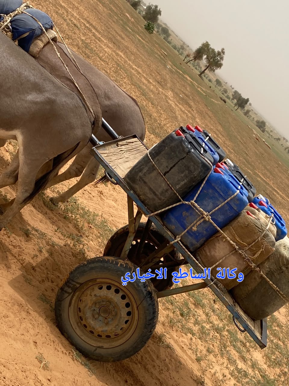 "قرية لحبق " لمن يهمهم الأمر